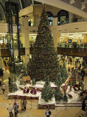 Beautiful  Huge Christmas Tree